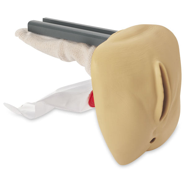 Geri Female Genitalia Repl - Nasco LF04076 N